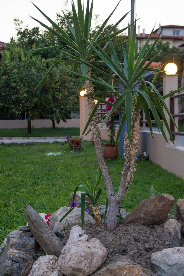 Roxani'S Apartments Ajos Nikolaos Zewnętrze zdjęcie
